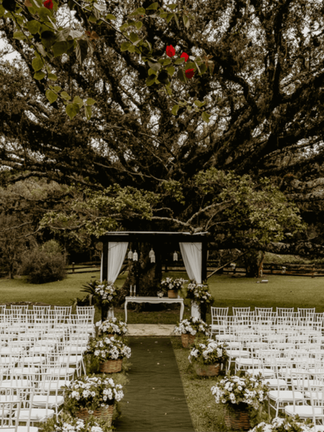 Buffet de casamento com churrasco