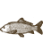 Pescado