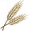 Glúten