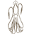Molusco